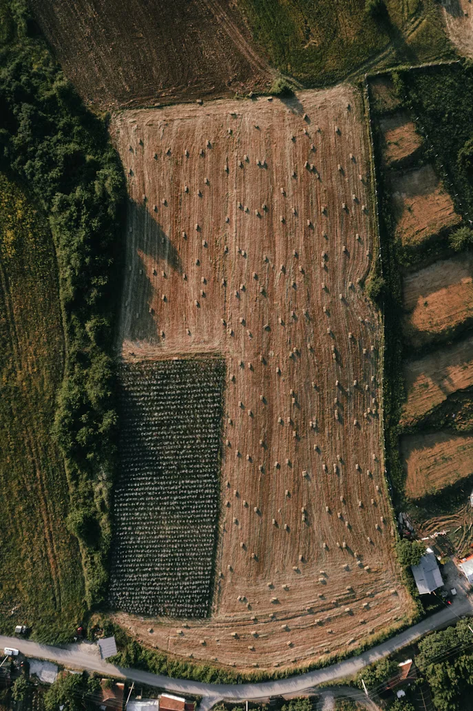 Aerial of farming field